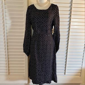 NWT Anthropologie Eva Classic Dress